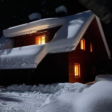 Digital Detox Chalet Pokljuka Goreljek Dış mekan fotoğraf