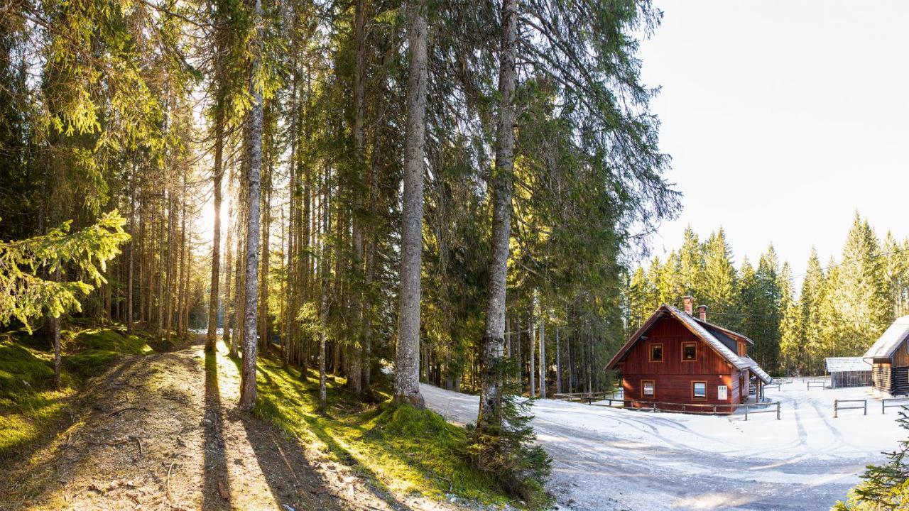 Digital Detox Chalet Pokljuka Goreljek Dış mekan fotoğraf